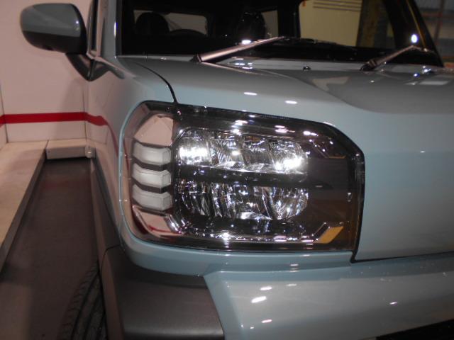 タフトＧ　９インチディスプレイオーディオ装着（福井県）の中古車