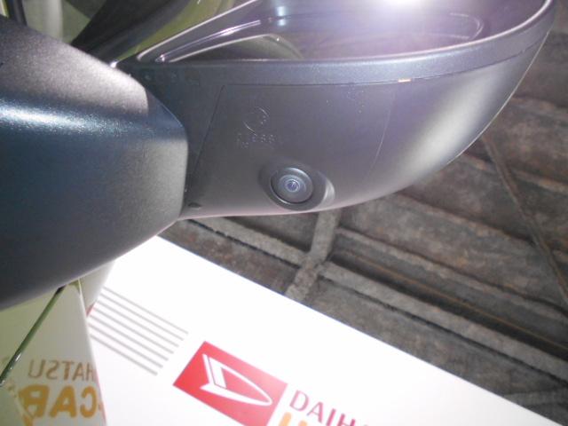 タフトG 4WD(福井県)の中古車