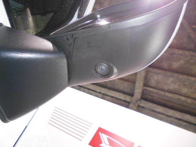 タフトＧ　クロムベンチャー（福井県）の中古車