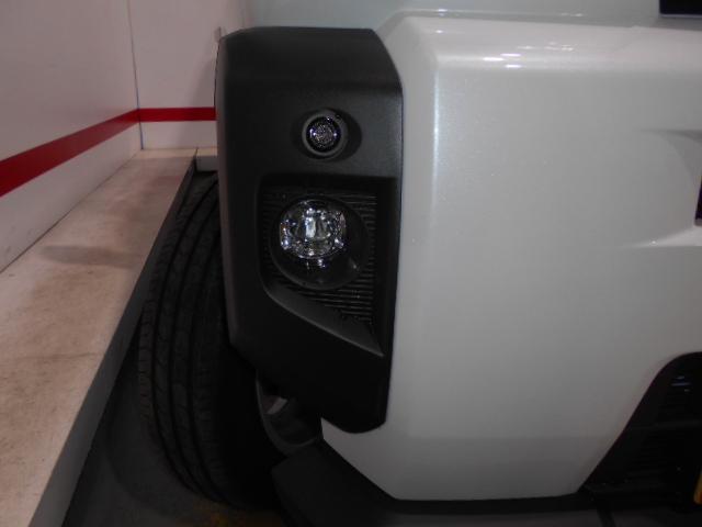 タフトＧ　４ＷＤ届出済未走行車（福井県）の中古車