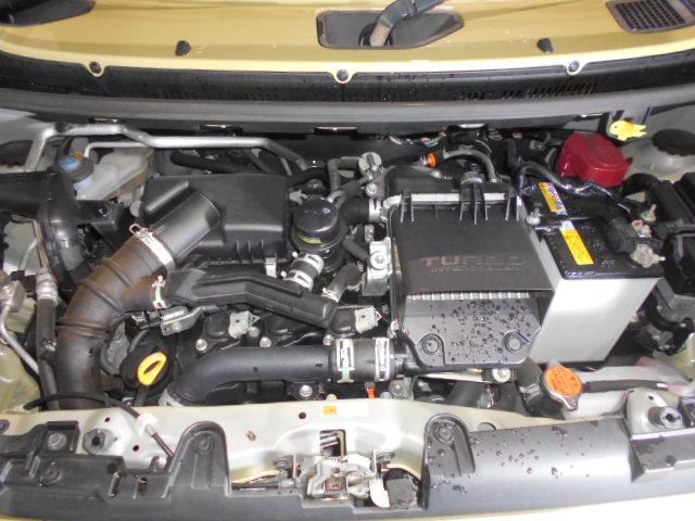 タフトＧターボ　４ＷＤ　メモリーナビ　ドラレコ　バックモニター装着（福井県）の中古車