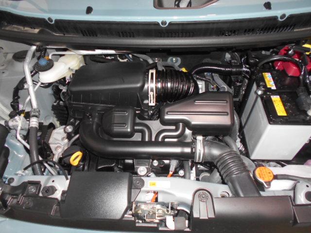 タフトＧ　４ＷＤ　届出済未走行車（福井県）の中古車