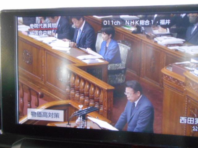 タフトG 9インチディスプレイオーディオ装着(福井県)の中古車