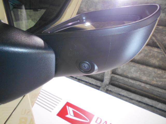 タフトＧ（福井県）の中古車
