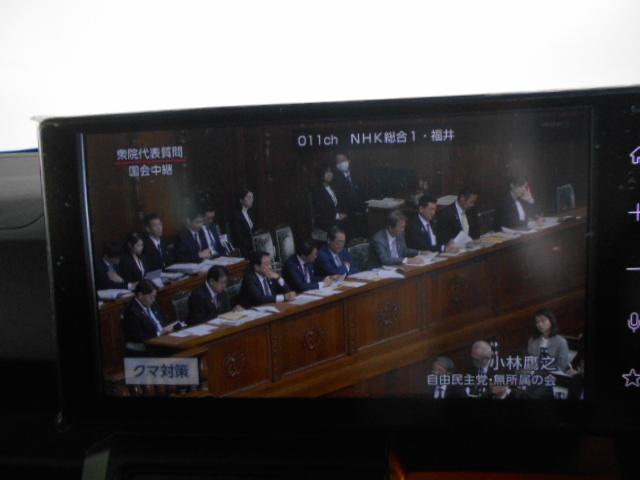 タフトＧ　４ＷＤ　９インチディスプレイオーディオ装着（福井県）の中古車