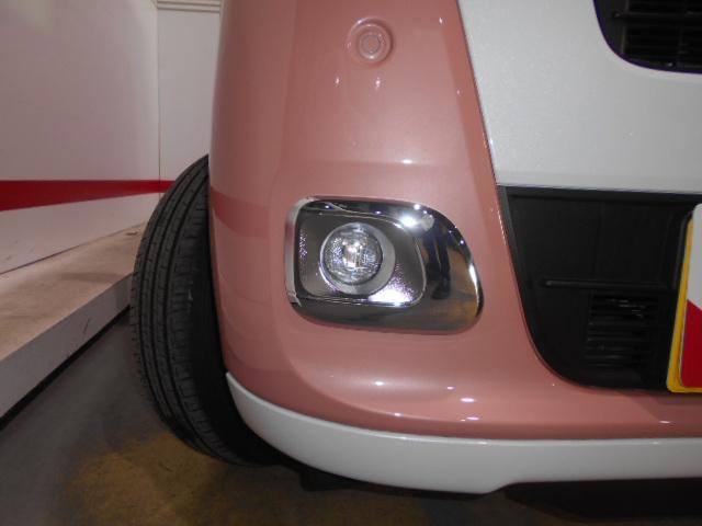 ムーヴキャンバスストライプスＧ届出済未走行車（福井県）の中古車