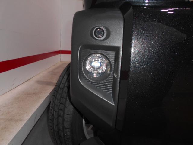 タフトＧ　９インチディスプレイオーディオ装着（福井県）の中古車