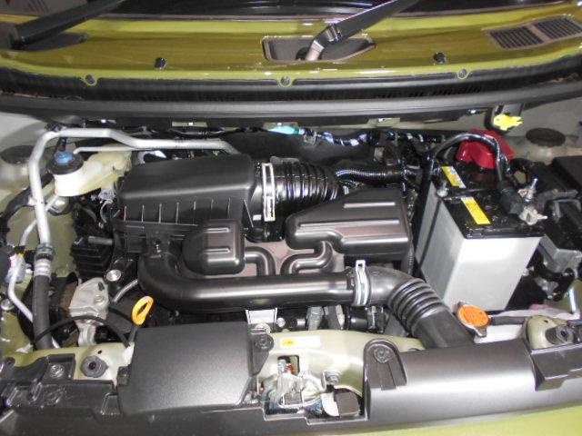 タフトＧ　４ＷＤ　届出済未走行車（福井県）の中古車