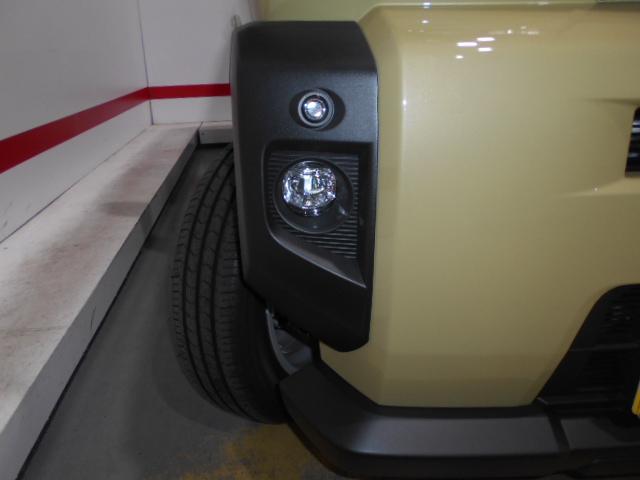 タフトＧ　４ＷＤ（福井県）の中古車