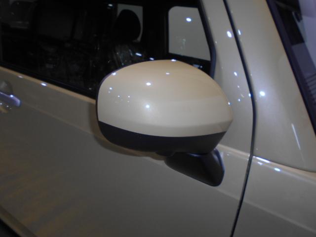 タフトＧ　４ＷＤ（福井県）の中古車