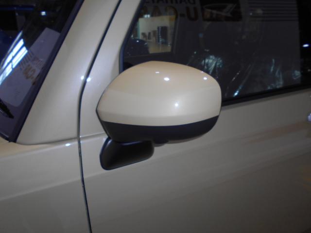 タフトＧ　４ＷＤ（福井県）の中古車