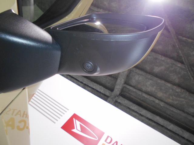 タフトＧ　４ＷＤ（福井県）の中古車