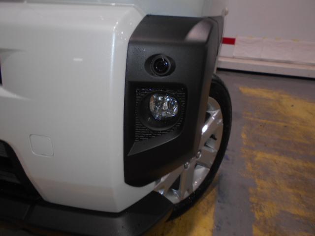 タフトＧ　４ＷＤ（福井県）の中古車