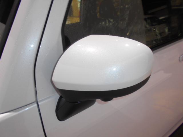 タフトＧ　４ＷＤ（福井県）の中古車