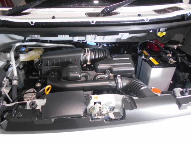 タフトＧ　４ＷＤ（福井県）の中古車