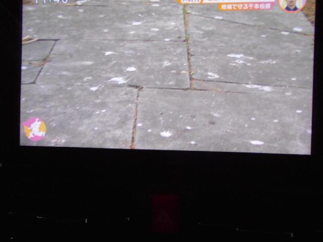 タントカスタムＸ　９インチディスプレイオーディオ　ドラレコ装着バックモニター装着車（福井県）の中古車