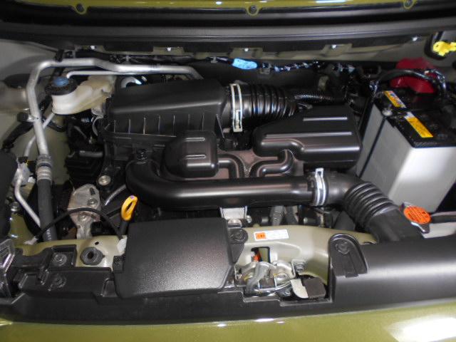 タフトＧ　クロムベンチャー　４ＷＤ（福井県）の中古車