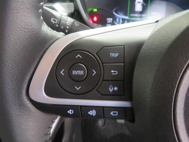 ロッキープレミアム（宮崎県）の中古車