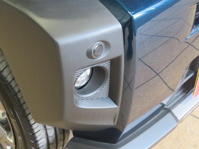 タフトＧ　ダーククロムベンチャー（宮崎県）の中古車