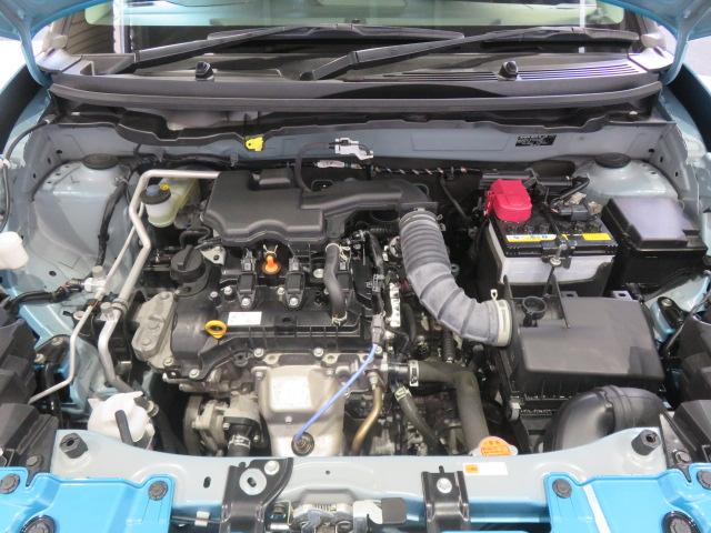 ライズＧ（宮崎県）の中古車