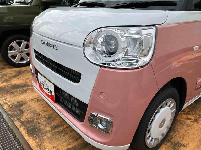 ムーヴキャンバスストライプスGスマートアシスト搭載 後席両側電動スライドドア バックカメラ付き オートエアコン オートライト キーフリー アイドリングストップ ABS 電動ドアミラー(熊本県)の中古車