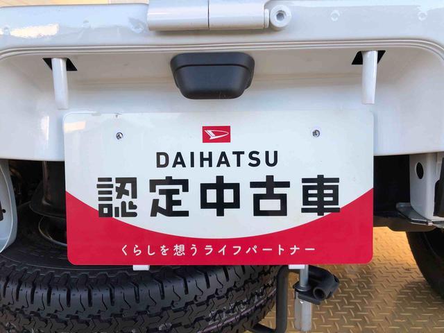 ハイゼットトラックスタンダード４ＷＤ　マニュアルエアコン　パワステ　タイミングチェーン　ラジオデッキ　手動ドアミラー　手動ウィンドウ　衝突被害軽減システム　横滑り防止機能　アイドリングストップ　ＡＢＳ（長野県）の中古車