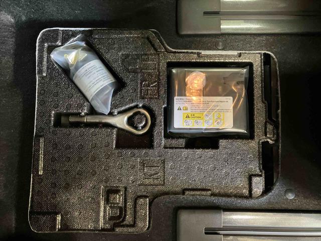 タントＸ（車内　消臭・抗菌　処理済）　衝突被害軽減システム　４ＷＤ　片側パワースライドドア　バックカメラ　キーフリーシステム（新潟県）の中古車