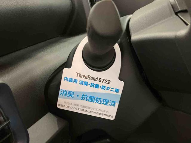 タントＸ（車内　消臭・抗菌　処理済）　衝突被害軽減システム　４ＷＤ　片側パワースライドドア　バックカメラ　キーフリーシステム（新潟県）の中古車