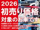 衝突軽減ブレーキ　ナビ　ワンオーナー　車線逸脱警報　キーフリー　エアバッグ　オートハイビーム　ＡＢＳ　記録簿　Ｓキー　両電動スライドドアパワーウィンドウ　オートエアコン（山梨県）の中古車