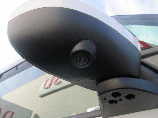 ムーヴキャンバスストライプスG(徳島県)の中古車