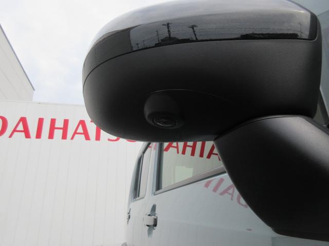 タフトＧ　ダーククロムベンチャー（徳島県）の中古車