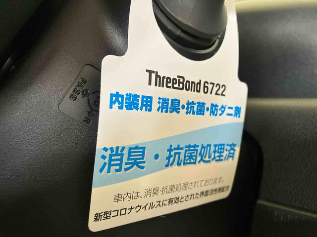 タントＸ（車内　消臭・抗菌　処理済）　衝突被害軽減システム　４ＷＤ　片側パワースライドドア　バックカメラ　キーフリーシステム（新潟県）の中古車