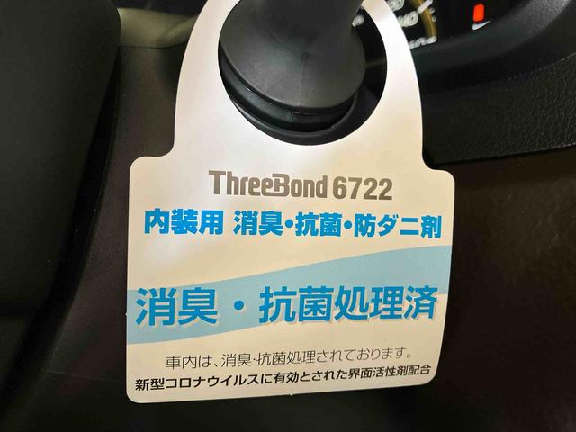 トールＧ（車内　消臭・抗菌　処理済）　衝突被害軽減システム　両側パワースライドドア　バックカメラ　キーフリーシステム（新潟県）の中古車