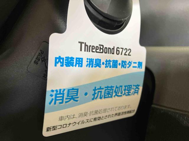 タントＸ（車内　消臭・抗菌　処理済）　衝突被害軽減システム　片側パワースライドドア　バックカメラ　キーフリーシステム（新潟県）の中古車