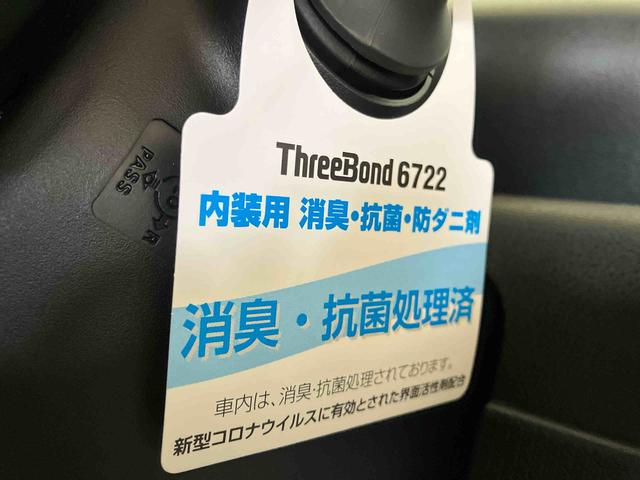 タントＸ（車内　消臭・抗菌　処理済）　衝突被害軽減システム　両側パワースライドドア　バックカメラ　キーフリーシステム（新潟県）の中古車