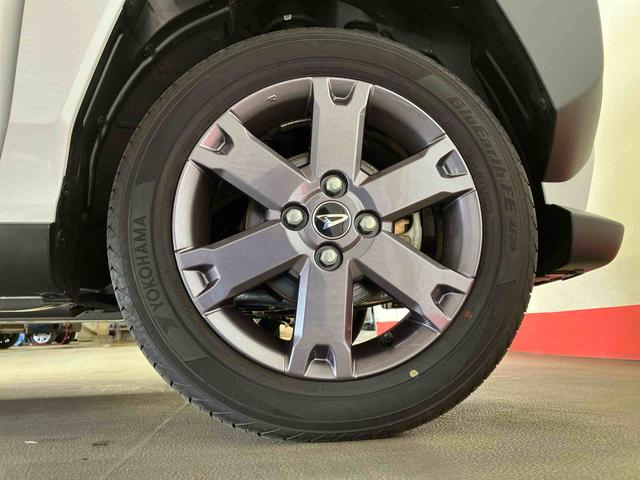 タフトＧ　ダーククロムベンチャー（車内　消臭・抗菌　処理済）　衝突被害軽減システム　４ＷＤ　バックカメラ　アルミホイール　キーフリーシステム（新潟県）の中古車