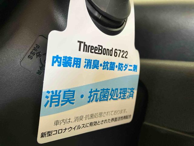 タントＸ（車内　消臭・抗菌　処理済）　衝突被害軽減システム　片側パワースライドドア　バックカメラ　キーフリーシステム（新潟県）の中古車