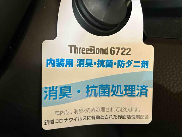 トールＸ（車内　消臭・抗菌　処理済）　衝突被害軽減システム　片側パワースライドドア　バックカメラ　キーフリーシステム（新潟県）の中古車
