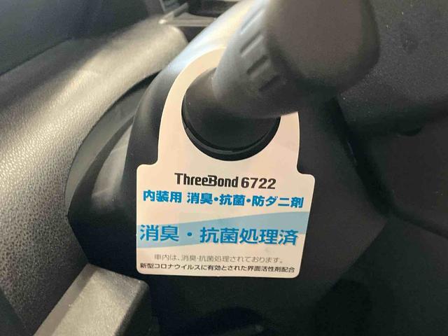 タントＸ（車内　消臭・抗菌　処理済）　衝突被害軽減システム　４ＷＤ　片側パワースライドドア　バックカメラ　キーフリーシステム（新潟県）の中古車