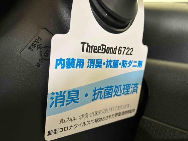 タントＸ（車内　消臭・抗菌　処理済）　衝突被害軽減システム　４ＷＤ　片側パワースライドドア　バックカメラ　キーフリーシステム（新潟県）の中古車