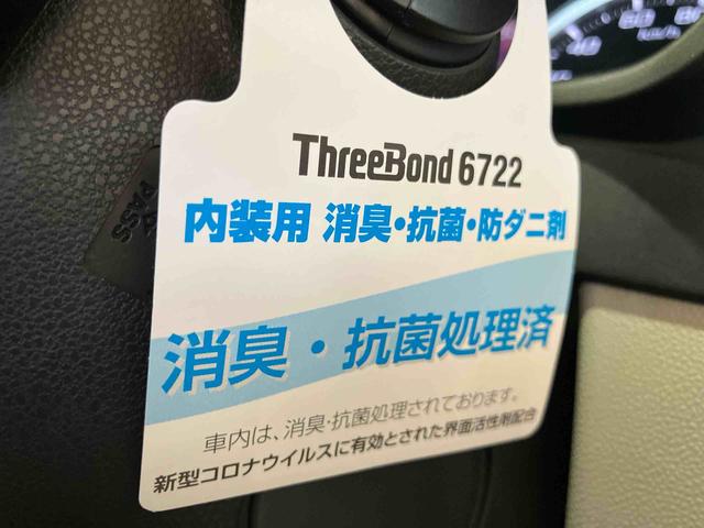 キャストスタイルＸ　リミテッド　ＳＡIII（車内　消臭・抗菌　処理済）　衝突被害軽減システム　バックカメラ　キーフリーシステム（新潟県）の中古車