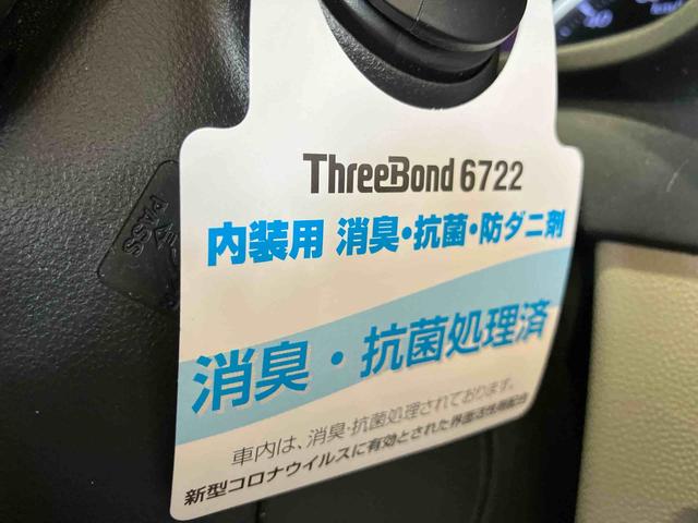 キャストスタイルＸ　ＳＡII（車内　消臭・抗菌　処理済）　衝突被害軽減システム　ナビ　バックカメラ　キーフリーシステム（新潟県）の中古車