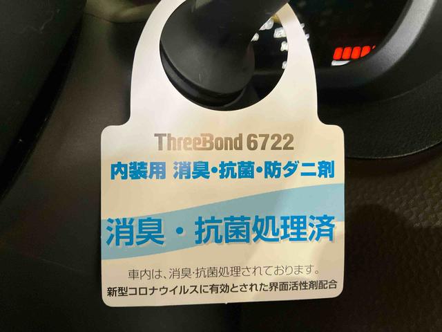 トールＧ（車内　消臭・抗菌　処理済）　衝突被害軽減システム　両側パワースライドドア　バックカメラ　キーフリーシステム（新潟県）の中古車