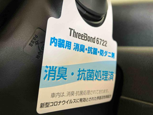 タントＸ（車内　消臭・抗菌　処理済）　衝突被害軽減システム　４ＷＤ　片側パワースライドドア　バックカメラ　キーフリーシステム（新潟県）の中古車