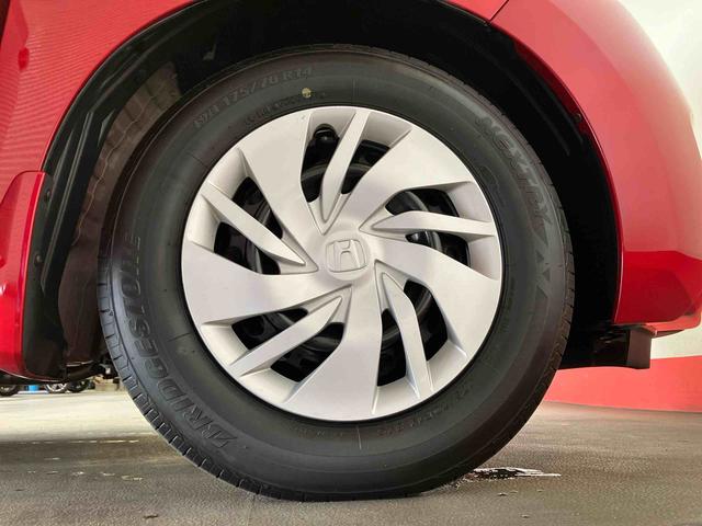 フィット１３Ｇ・Ｆパッケージ　コンフォートエディション（車内　消臭・抗菌　処理済）　ナビ　バックカメラ　スマートキー（新潟県）の中古車