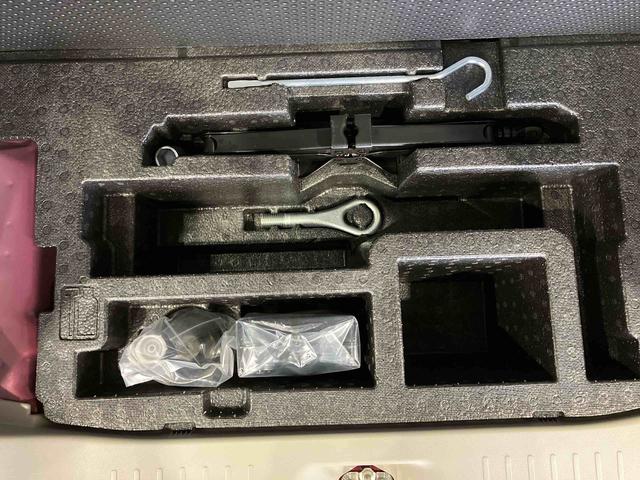 タントＸ（車内　消臭・抗菌　処理済）　片側パワースライドドア　ナビ　バックカメラ　キーフリーシステム（新潟県）の中古車