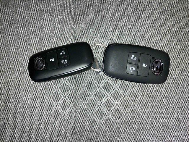 タントＸ（車内　消臭・抗菌　処理済）　衝突被害軽減システム　両側パワースライドドア　バックカメラ　キーフリーシステム（新潟県）の中古車