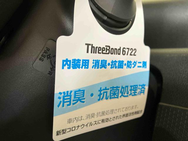 タントＸ（車内　消臭・抗菌　処理済）　衝突被害軽減システム　両側パワースライドドア　バックカメラ　キーフリーシステム（新潟県）の中古車