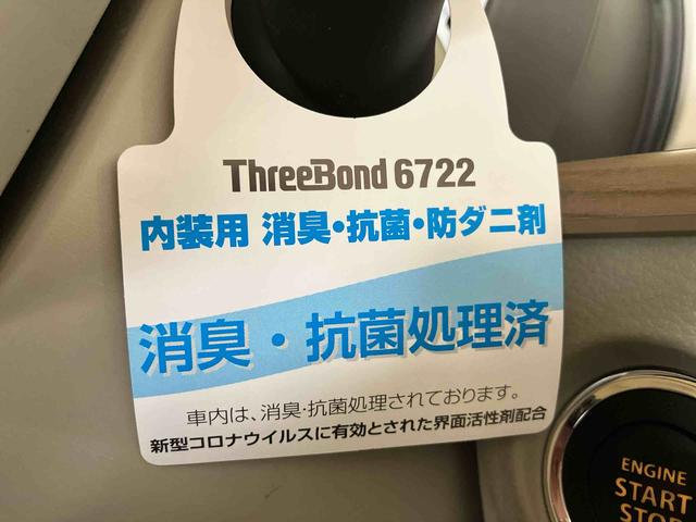 アルトラパンX(車内 消臭・抗菌 処理済) 衝突被害軽減システム バックカメラ アルミホイール スマートキー(新潟県)の中古車