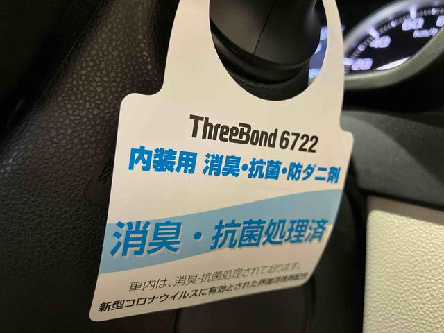 キャストスタイルＸ　リミテッド　ＳＡIII（車内　消臭・抗菌　処理済）　衝突被害軽減システム　ナビ　バックカメラ　キーフリーシステム（新潟県）の中古車